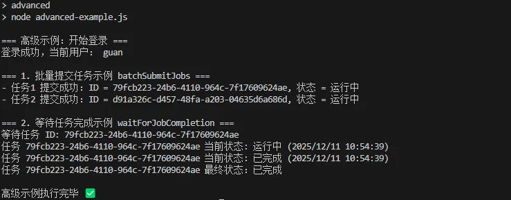 运行高级示例结果